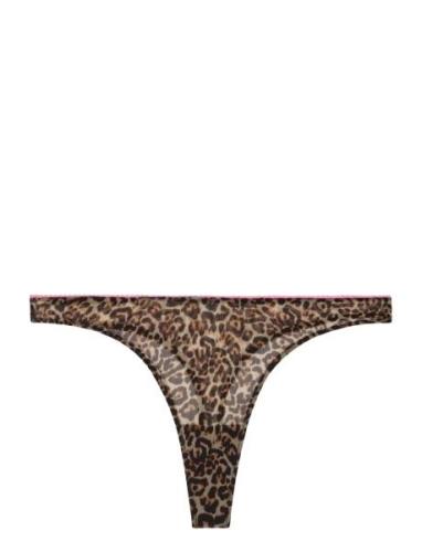 Mesh Thong Brown Understatement Underwear