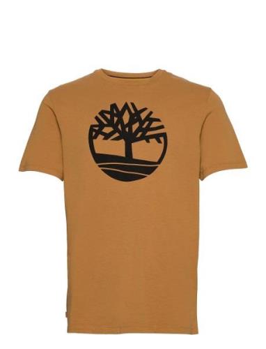 Tree Logo Short Sleeve Tee Brown Timberland