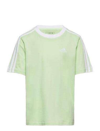 G 3S Bf T Green Adidas Performance