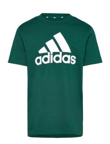 U Bl Tee Green Adidas Sportswear