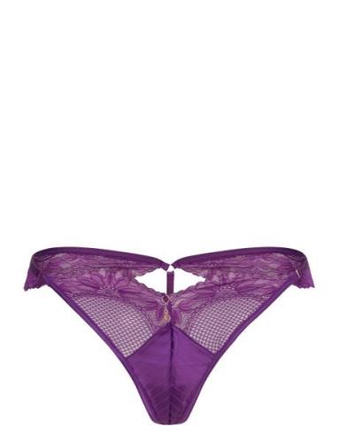 Belladonna Hl T Str Purple Hunkemöller