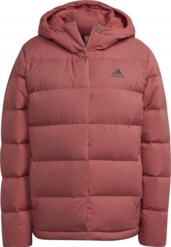 Adidas Women's Helionic Hooded Down Jacket Wonred