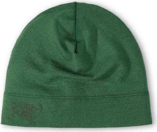 Arc'teryx Rho Lightweight Wool Toque Eden