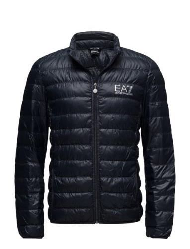 Down Jacket Vuorillinen Takki Topattu Takki Navy EA7