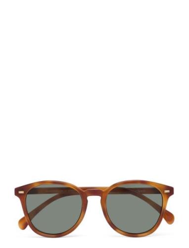 Bandwagon Aurinkolasit Brown Le Specs