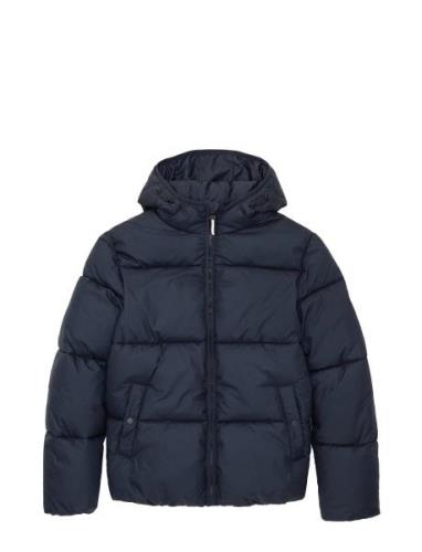 Puffer Winter Jacket With Hood Toppatakki Navy Tom Tailor