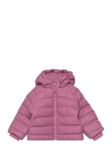Pu Winter Jacket Toppatakki Pink CeLaVi