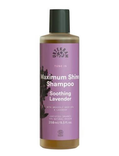 Maximum Shine Shampoo Soothing Lavender Shampoo 250 Ml Shampoo Nude Ur...