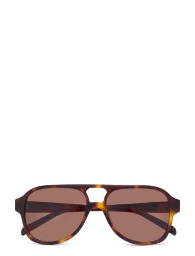 Gelo Tortoise Brown Pilottilasit Aurinkolasit Brown Corlin Eyewear