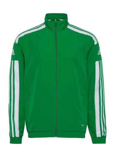 Sq21 Pre Jkt Sport Sweat-shirts & Hoodies Sweat-shirts Green Adidas Pe...