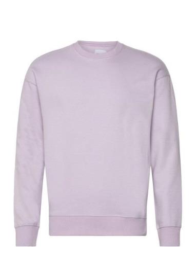 Jjestar Basic Sweat Crew Neck Tops Sweat-shirts & Hoodies Sweat-shirts...