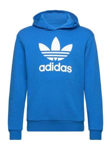 Trefoil Hoodie Sport Sweat-shirts & Hoodies Hoodies Blue Adidas Origin...