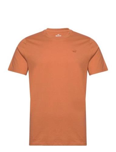 Hco. Guys Knits Tops T-shirts Short-sleeved Orange Hollister