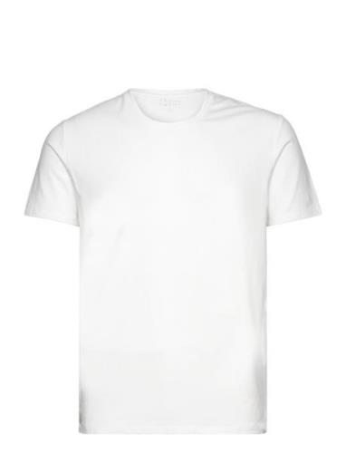 Bamboo Tee Tops T-shirts Short-sleeved White Frank Dandy