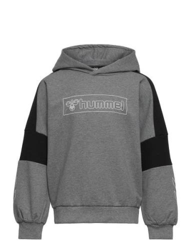 Hmlboxline Hoodie Sport Sweat-shirts & Hoodies Hoodies Grey Hummel