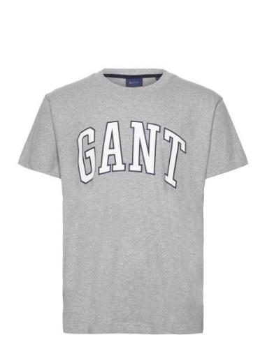 Md. Gant T-Shirt Tops T-shirts Short-sleeved Grey GANT