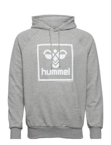 Hmlisam 2.0 Hoodie Sport Sweat-shirts & Hoodies Hoodies Grey Hummel