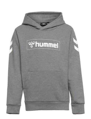 Hmlbox Hoodie Sport Sweat-shirts & Hoodies Hoodies Hummel