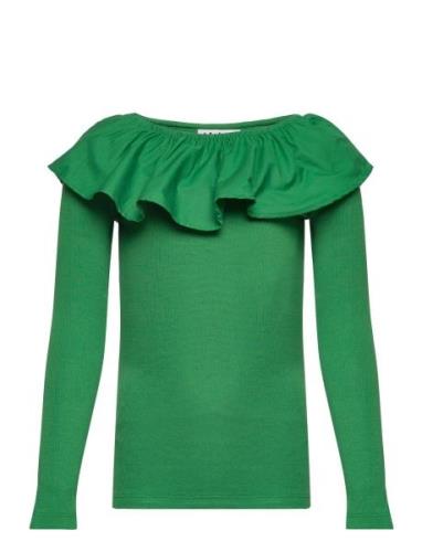Renate Tops T-shirts Long-sleeved T-shirts Green Molo