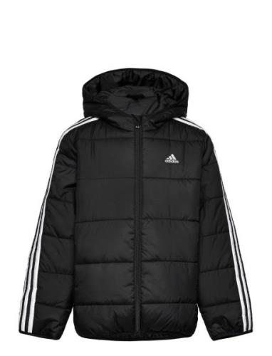 J Ess 3S Pad Toppatakki Black Adidas Sportswear