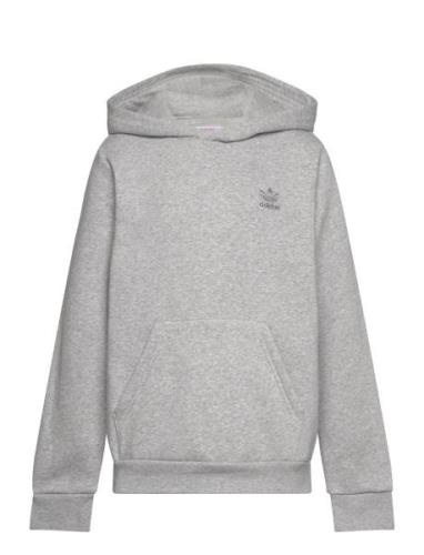 Hoodie Sport Sweat-shirts & Hoodies Hoodies Grey Adidas Originals