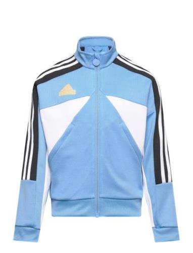 J Np Ttop Tops Sweat-shirts & Hoodies Sweat-shirts Blue Adidas Sportsw...