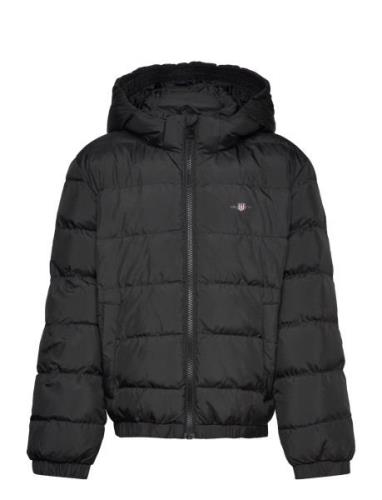 Shield Padded Jacket Toppatakki Black GANT