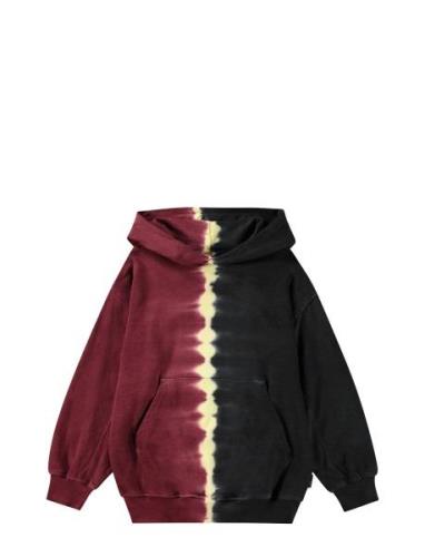 Maxx Tops Sweat-shirts & Hoodies Hoodies Multi/patterned Molo