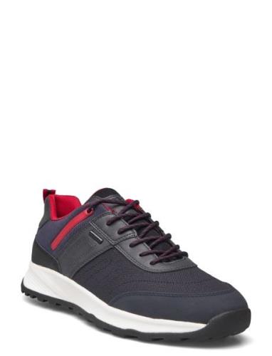 U Terrestre B Abx A Matalavartiset Sneakerit Tennarit Navy GEOX