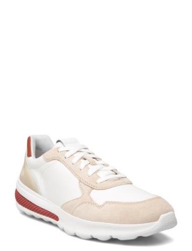 U Spherica Actif A Matalavartiset Sneakerit Tennarit White GEOX