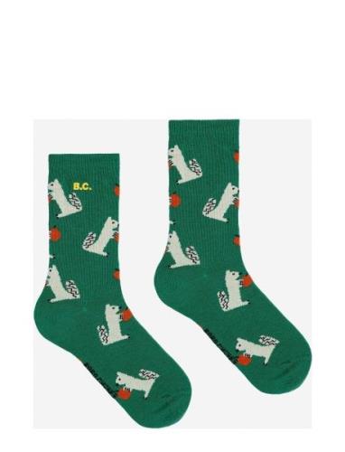 Hungry Squirrel All Over Long Socks Sukat Green Bobo Choses