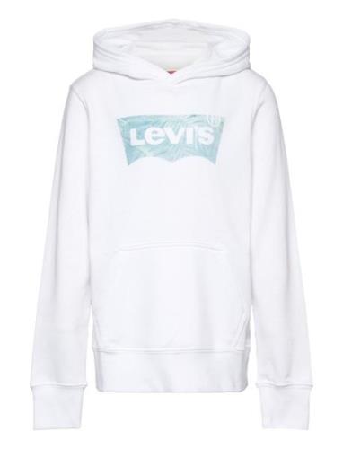 Lvb Palm Batwing Fill Hoodie / Lvb Palm Batwing Fill Hoodie Tops Sweat...