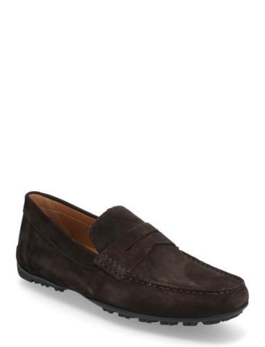 U Kosmopolis + Grip Loaferit Matalat Kengät Brown GEOX