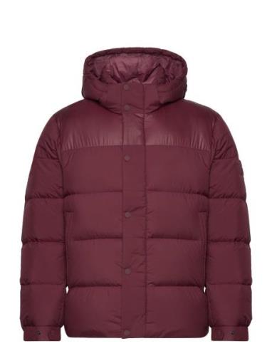 Mix Down Hooded Puffer Jacket Vuorillinen Takki Topattu Takki Red Tomm...