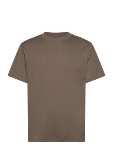 Hco. Guys Knits Tops T-shirts Short-sleeved Brown Hollister