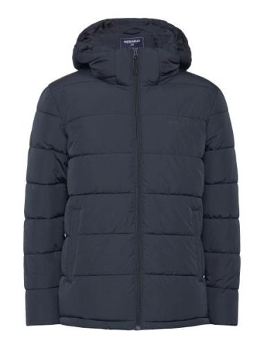 Jasper Puffer Jacket Vuorillinen Takki Topattu Takki Navy Sebago