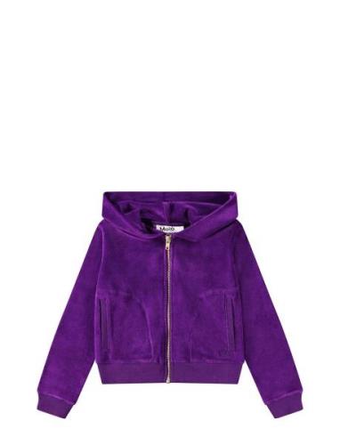 Milla Tops Sweat-shirts & Hoodies Hoodies Purple Molo