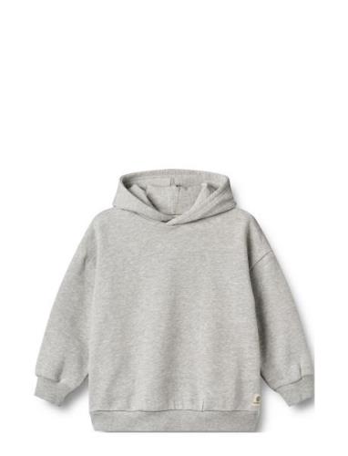 Hoodie Bonno Tops Sweat-shirts & Hoodies Hoodies Grey Wheat