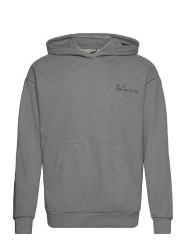 Halo Essential Hoodie Sport Sweat-shirts & Hoodies Hoodies Grey HALO