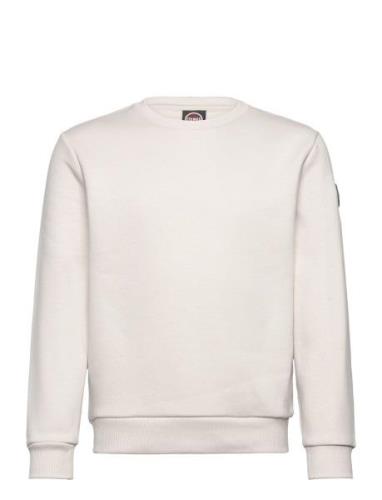 Junior Sweatshirt Tops Sweat-shirts & Hoodies Sweat-shirts Cream Colma...