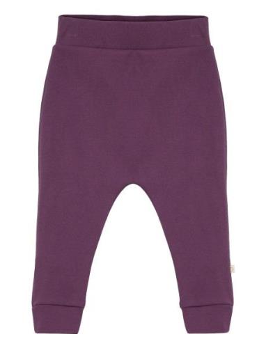 Pants, Maple Syrup Bottoms Trousers Purple Smallstuff