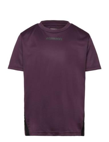 Hmlmulti Pl Jersey Kids Sport T-shirts Short-sleeved Purple Hummel