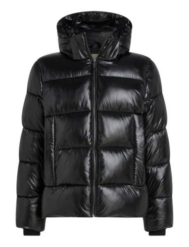 Hooded Quilt Puffer Mw Gloss Villakangastakki Pitkä Takki Black Calvin...