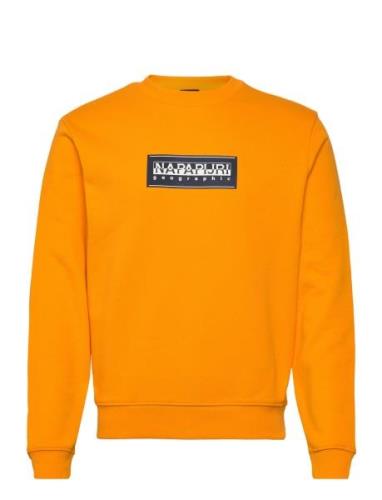 Box Logo Sweatshirt Tops Sweat-shirts & Hoodies Sweat-shirts Orange Na...