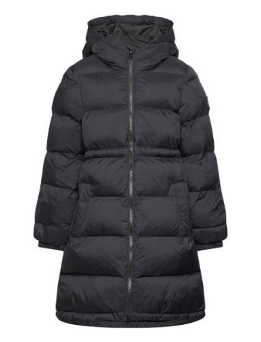 Long Heavy Padded Jacket Toppatakki Black GANT