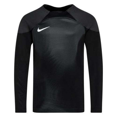 Nike Maalivahdin paita Dri-FIT ADV Gardien IV L/S - Harmaa/Musta/Valko...