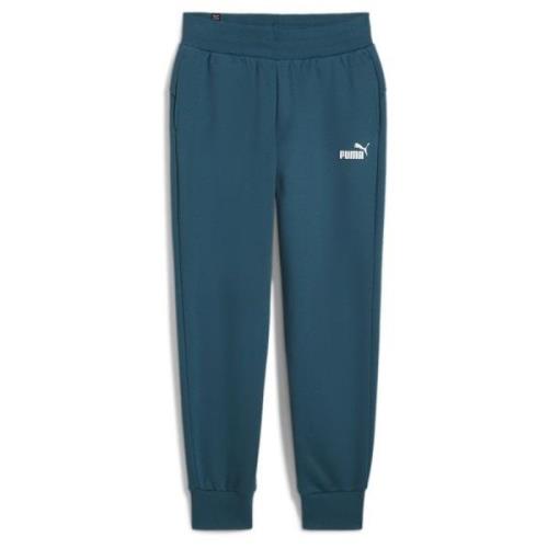 Puma Essentials Sweatpants Women