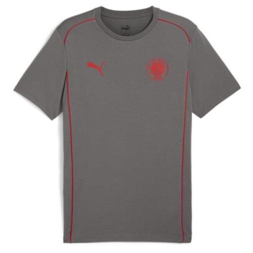 Puma FC St. Pauli Casuals Tee Men